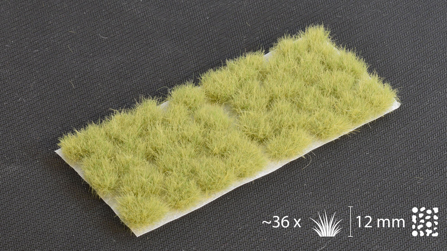 TUFTS - Light Green XL