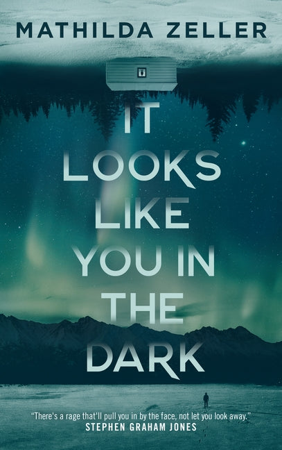 It Looks Like You in the Dark by Zeller, Mathilda