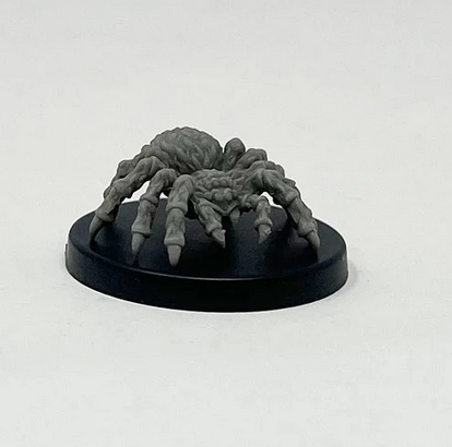 GIANT WOLF SPIDERS (3)