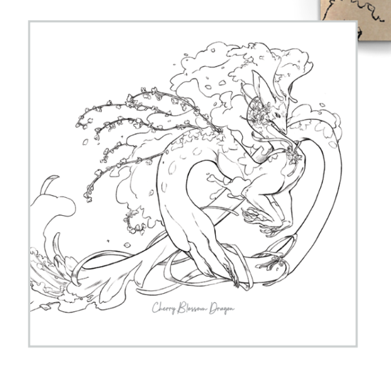 A Field Guide To Floral Dragons | Coloring Book