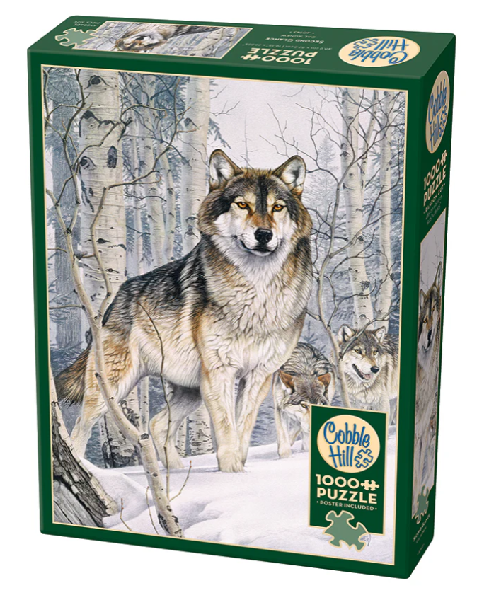 Second Glance | 1000pc Puzzle