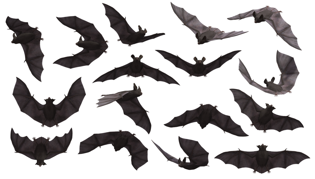 Vampires - Crimson Vow Inspired Games and Reading