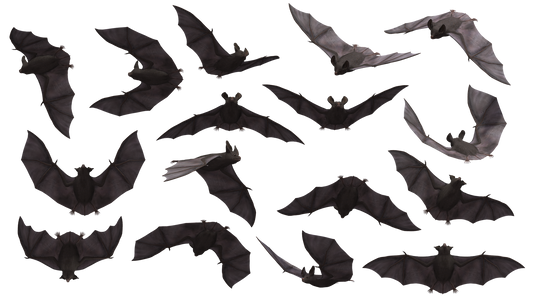 Vampires - Crimson Vow Inspired Games and Reading