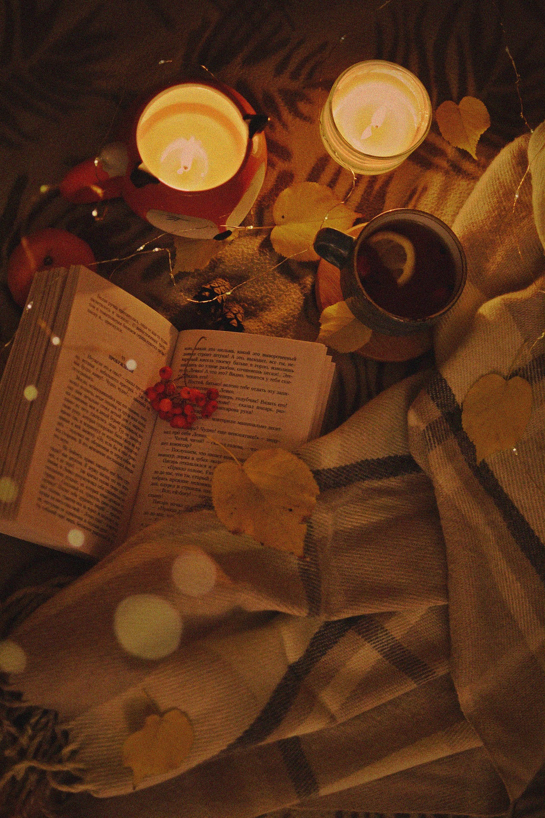 Winter Must-Reads