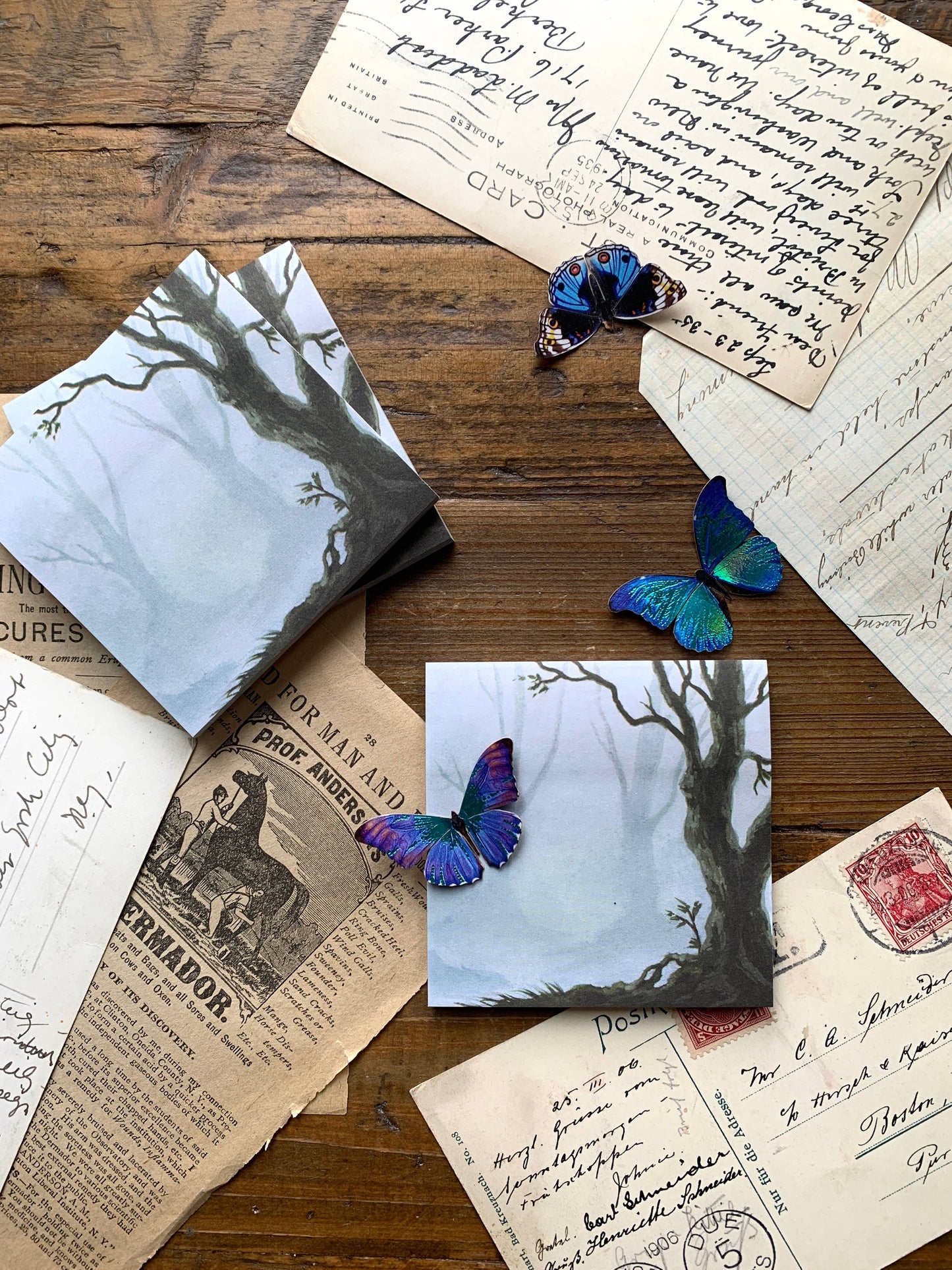 sale - CM Sticky Notes | Enchanted Woods