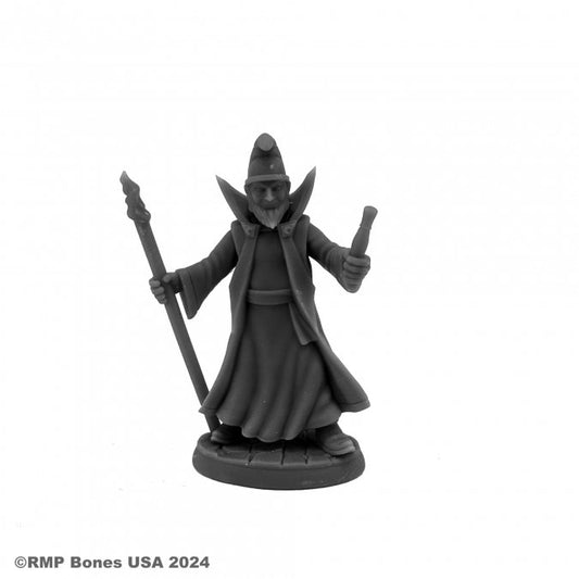 Burnardo, Heroic Wizard [Reaper 07149]