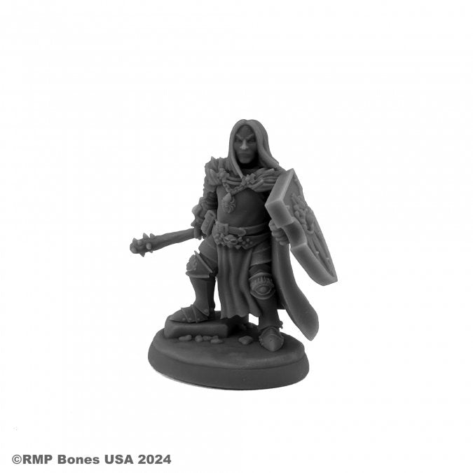 Ascarleth, Evil Cleric [Reaper 07207]