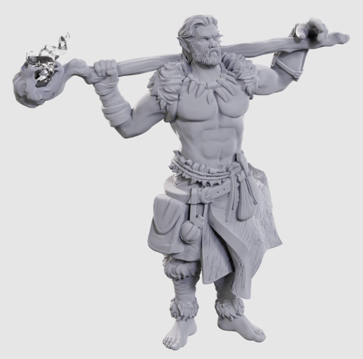 Nolzur's Marvelous Unpainted Miniatures - W24 Archdruid & Martial Arts Adept [WZK 90695]