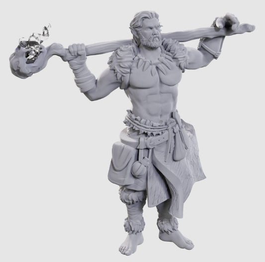 Nolzur's Marvelous Unpainted Miniatures - W24 Archdruid & Martial Arts Adept [WZK 90695]