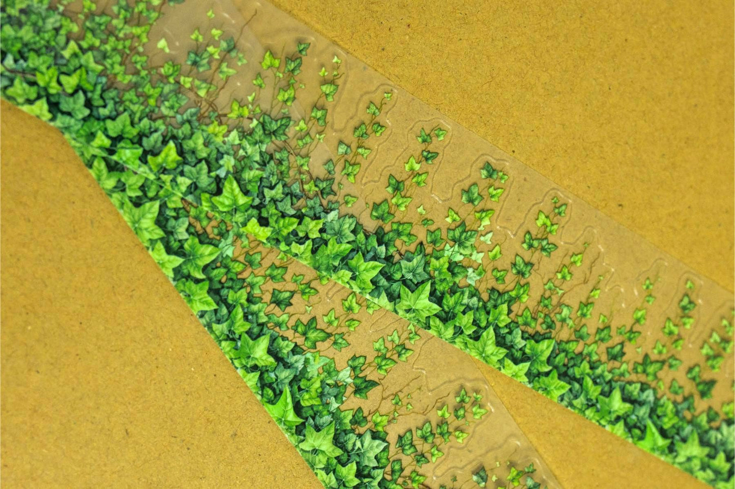 CCC Washi Tape | Ivy Cutout