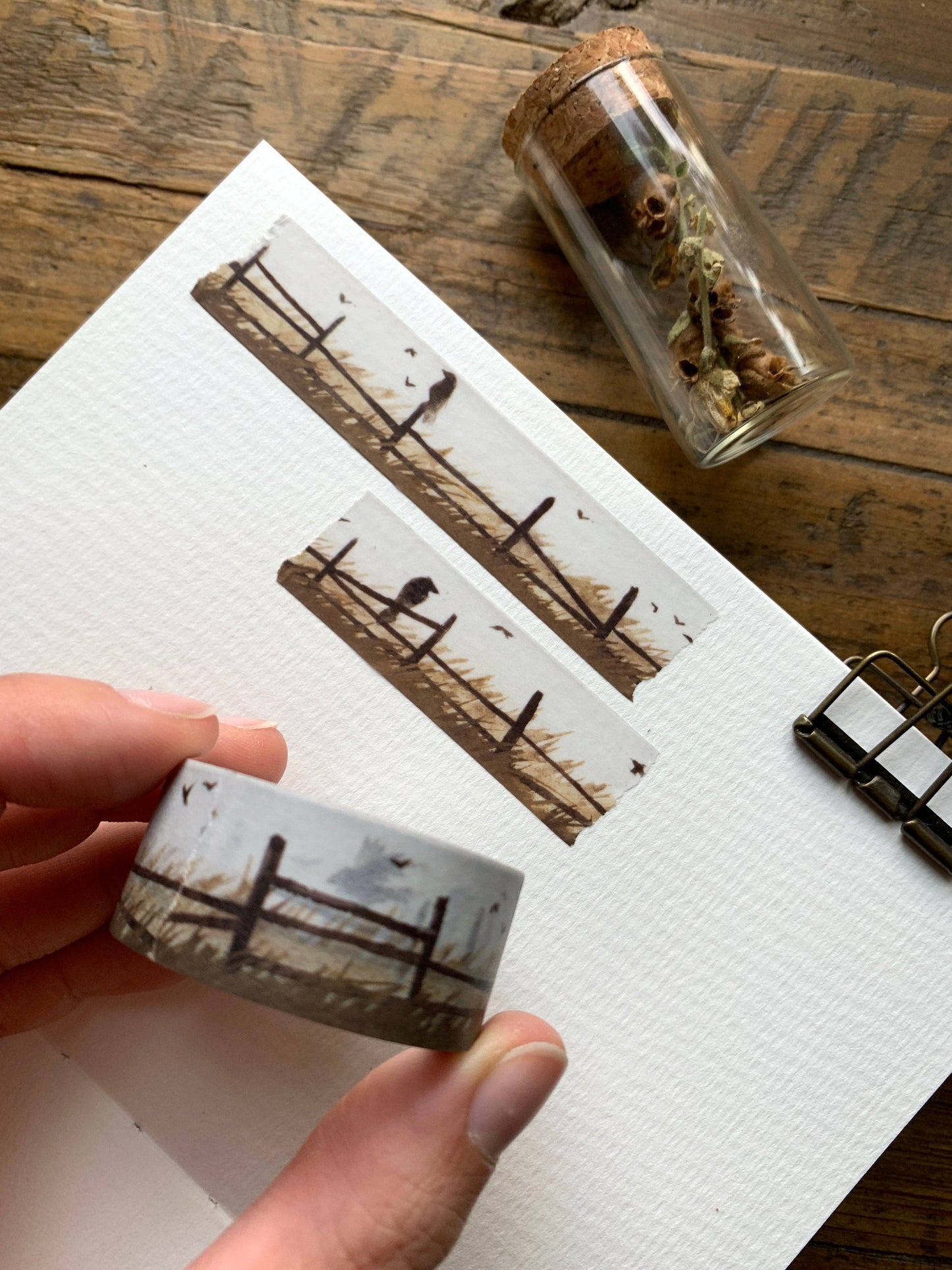 CM Washi Tape | Harvest Crows