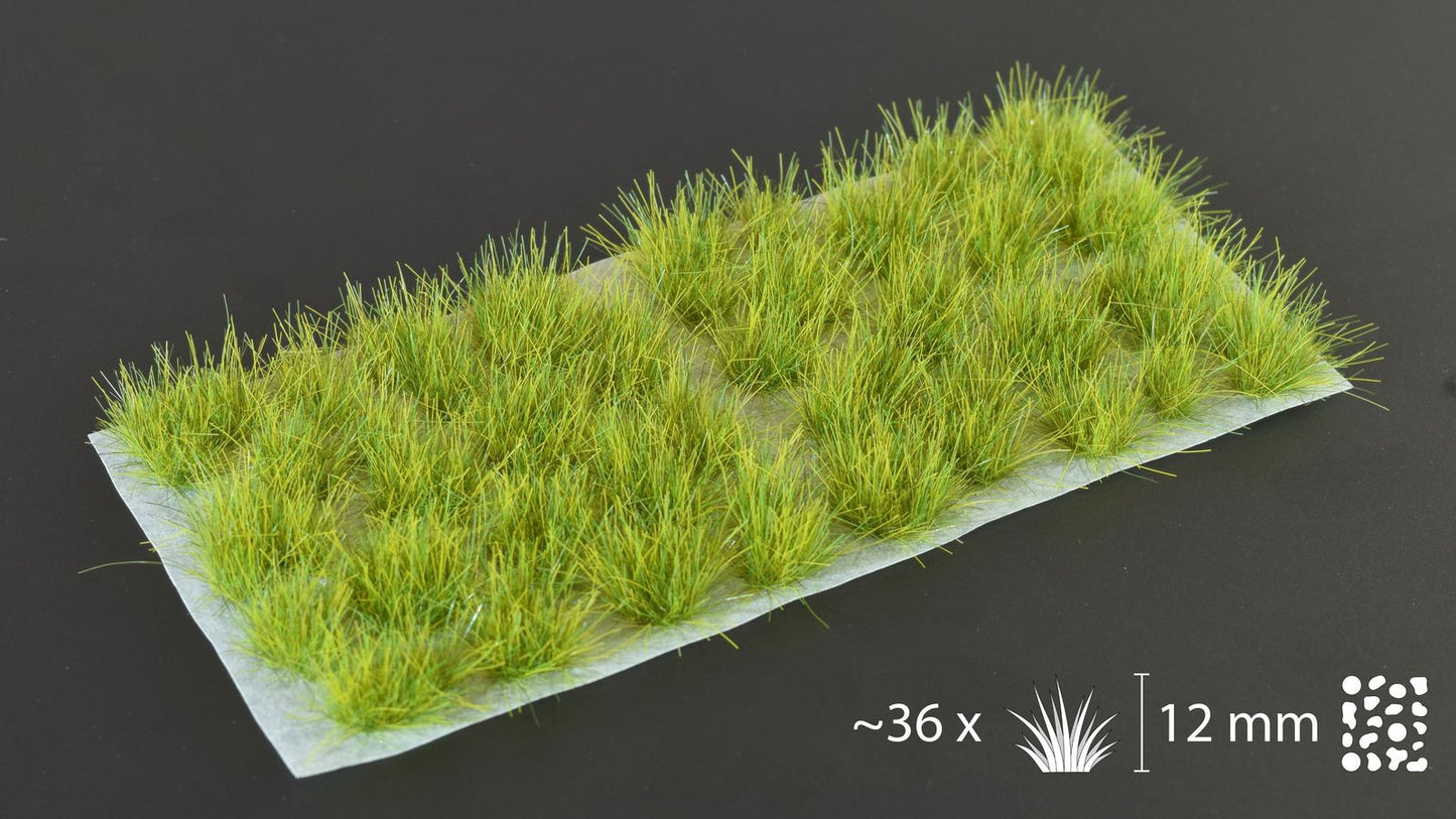 TUFTS - Jungle XL