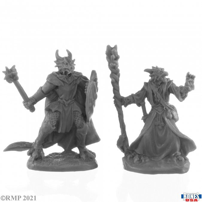 Dragonfolk Wizard and Cleric [Reaper 30222]
