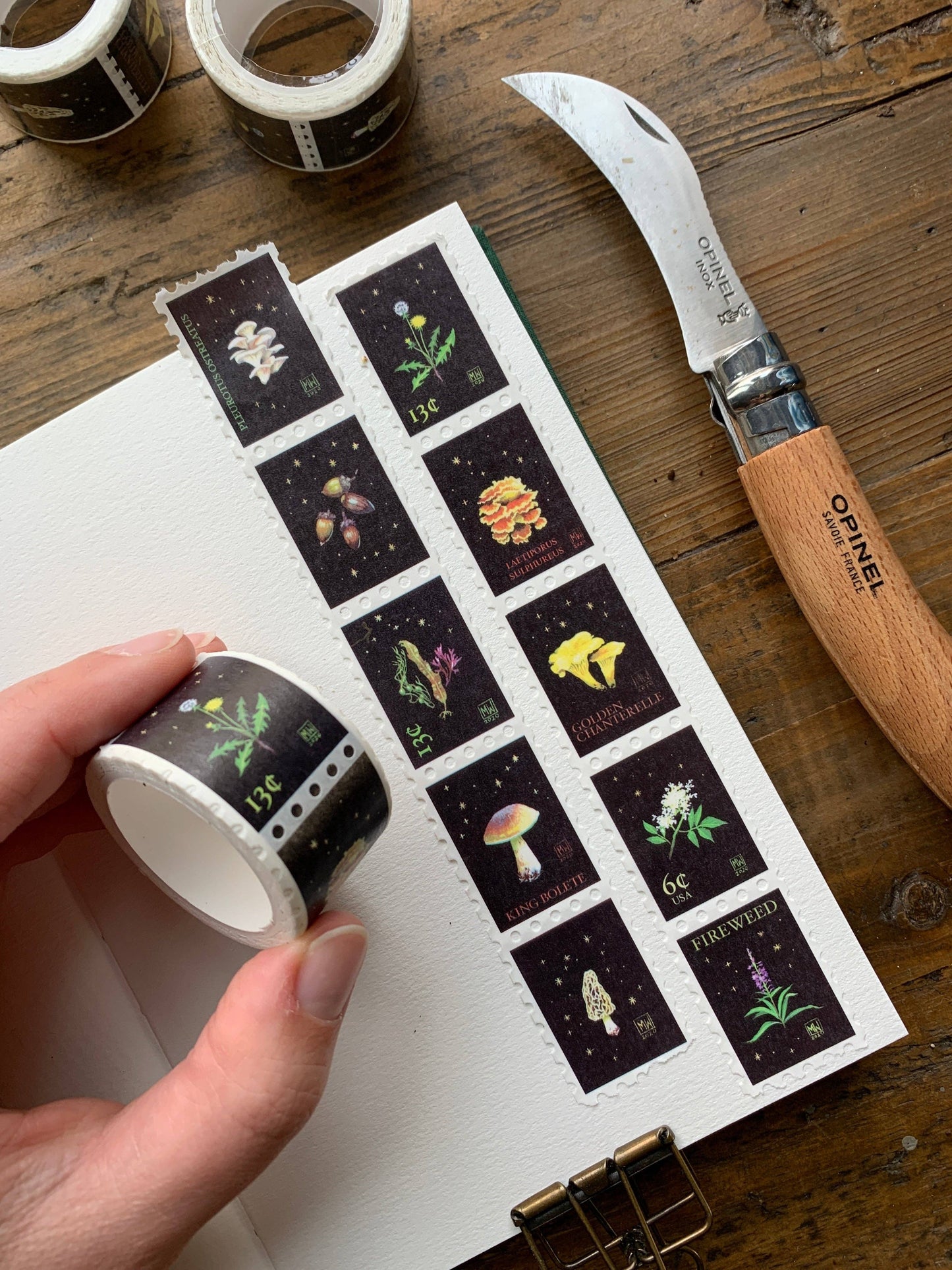 CM Washi Tape | Foraging Stamps