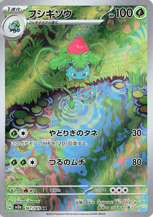 Ivysaur - 167/165