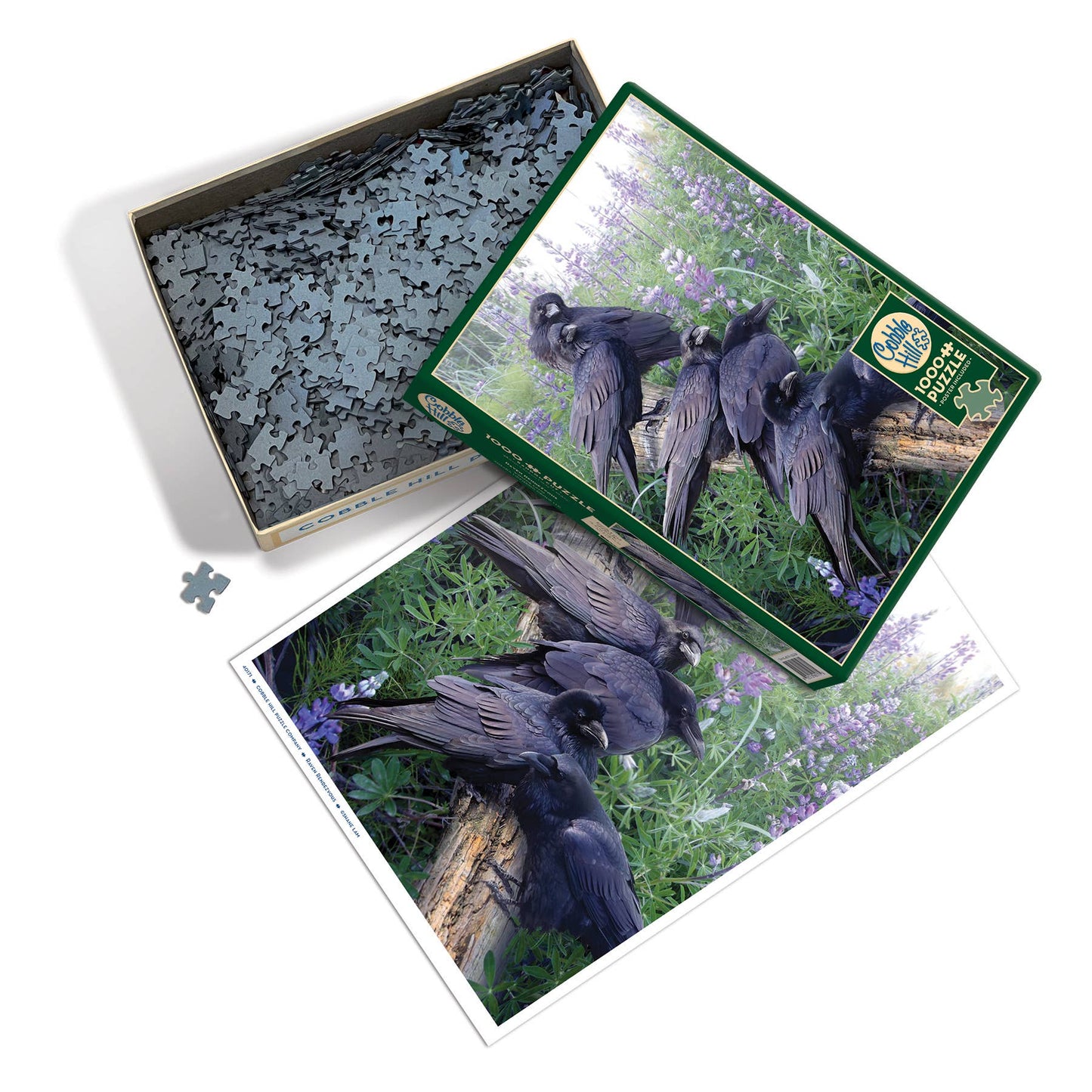 Raven Rendezvous | 1000pc puzzle