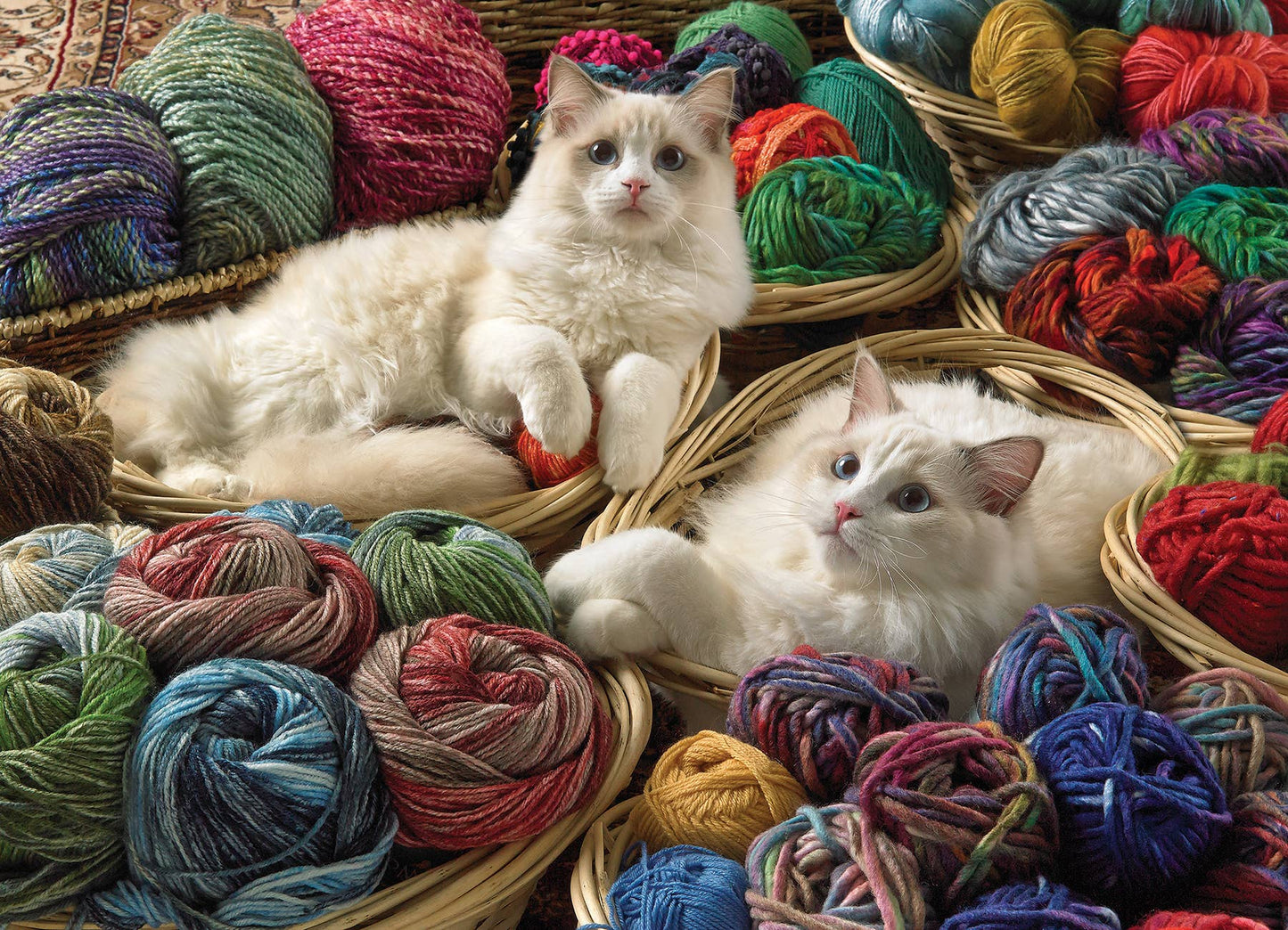 Ragdolls | 1000pc puzzle