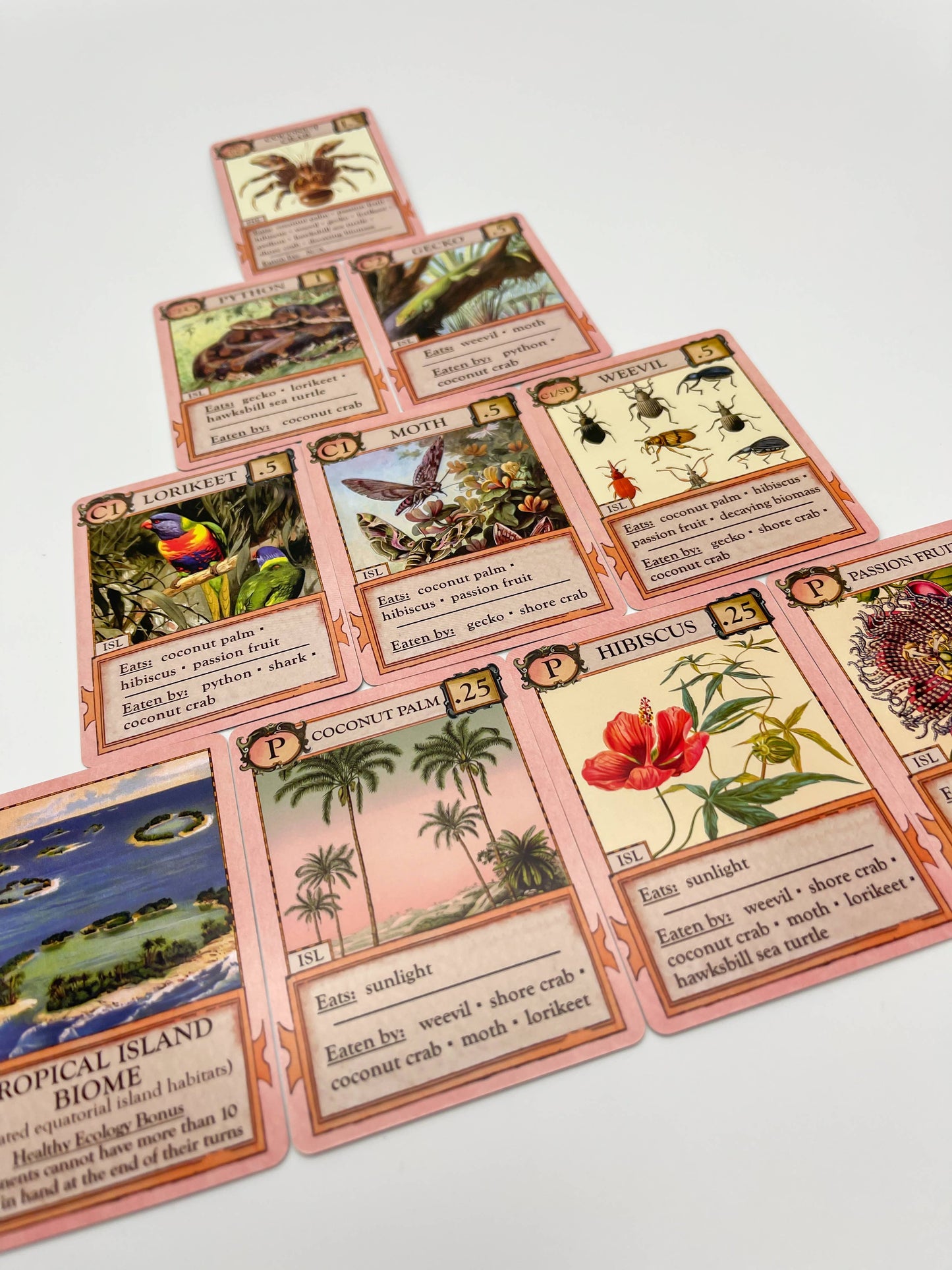 Ecologies: Hidden Habitats Card Game