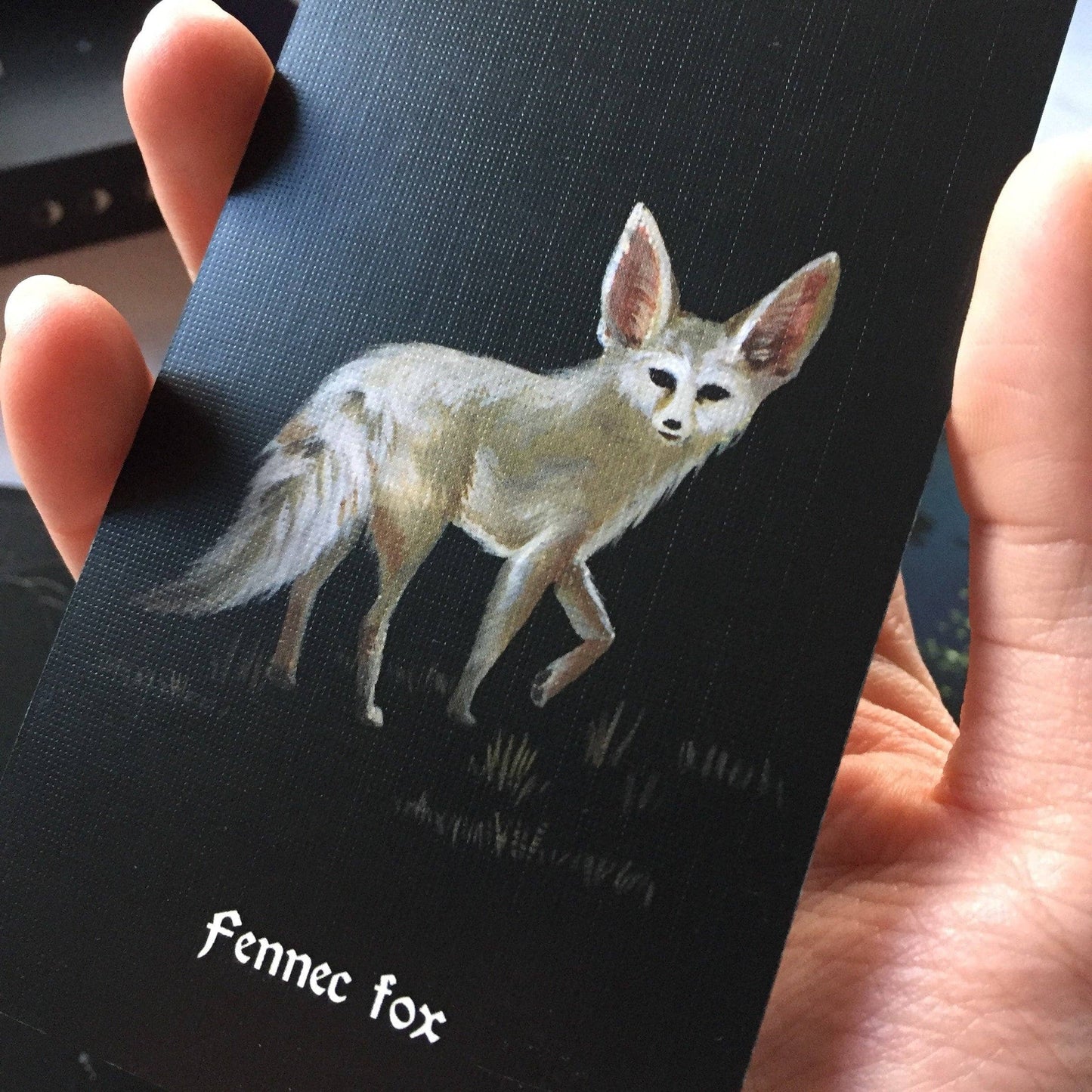 CM Tarot Deck | Nocturna Oracle