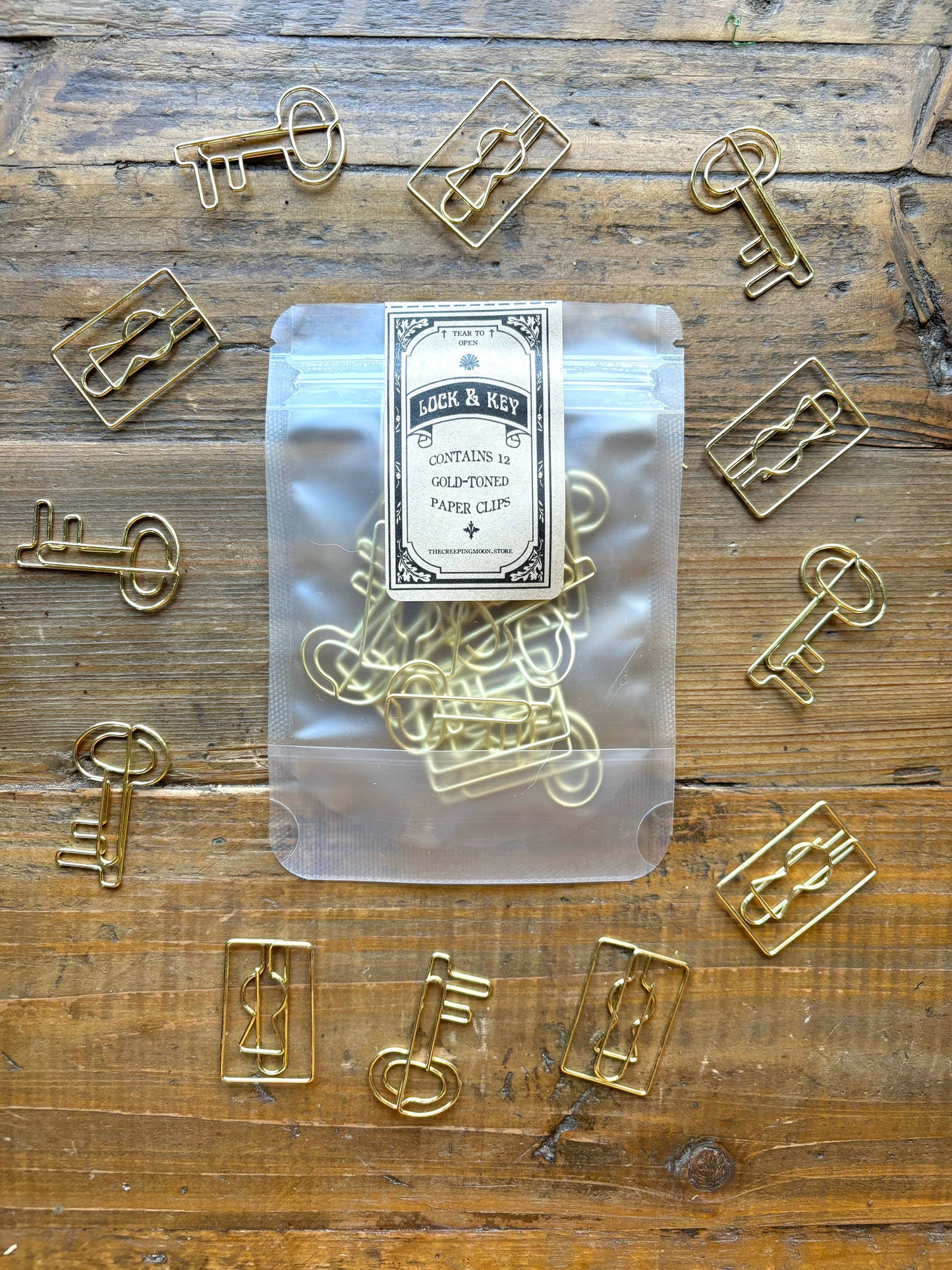 CM Paper Clip Set | Lock & Key
