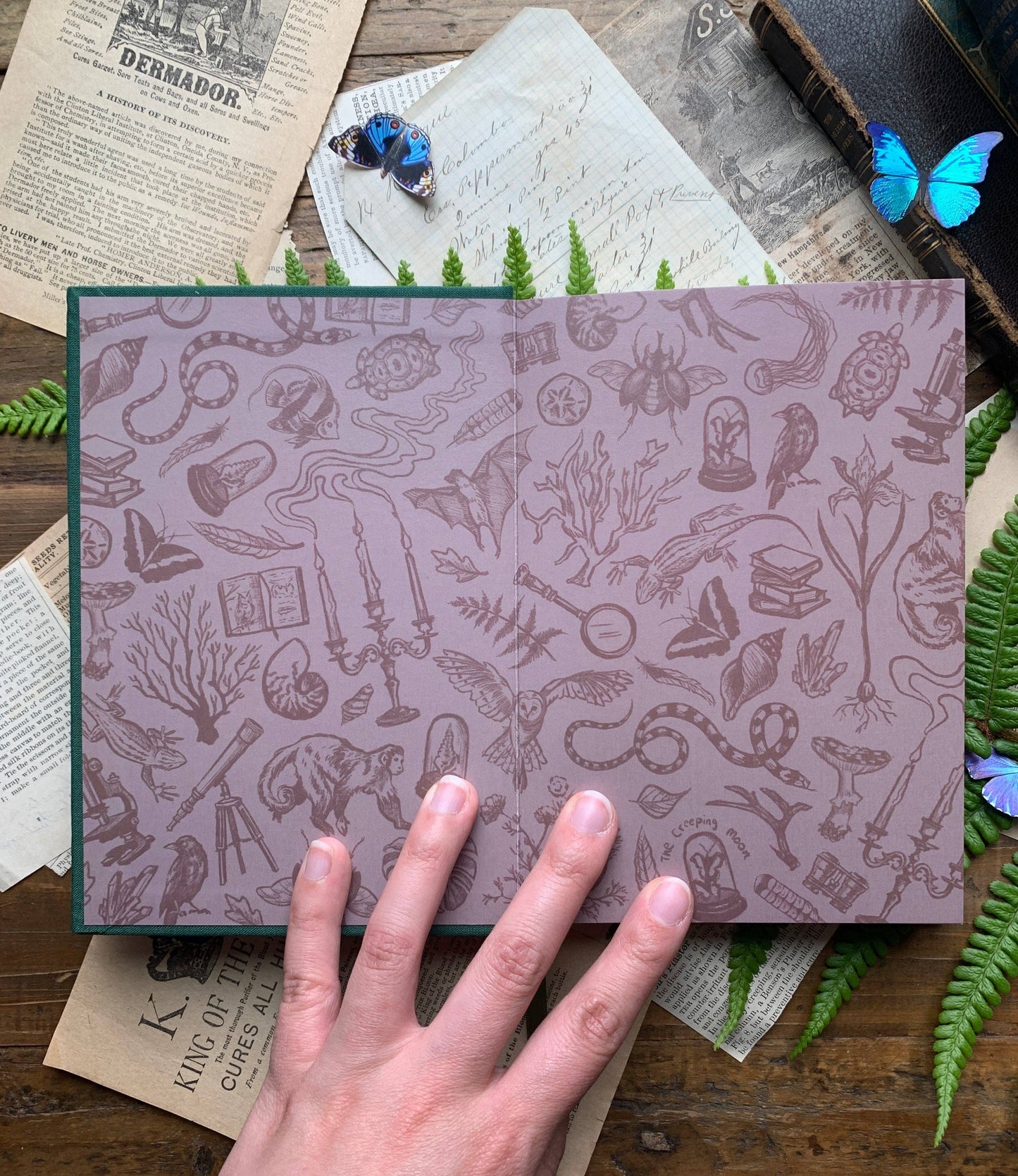 B6 Watercolor Sketchbook | The Botanist [Silver]