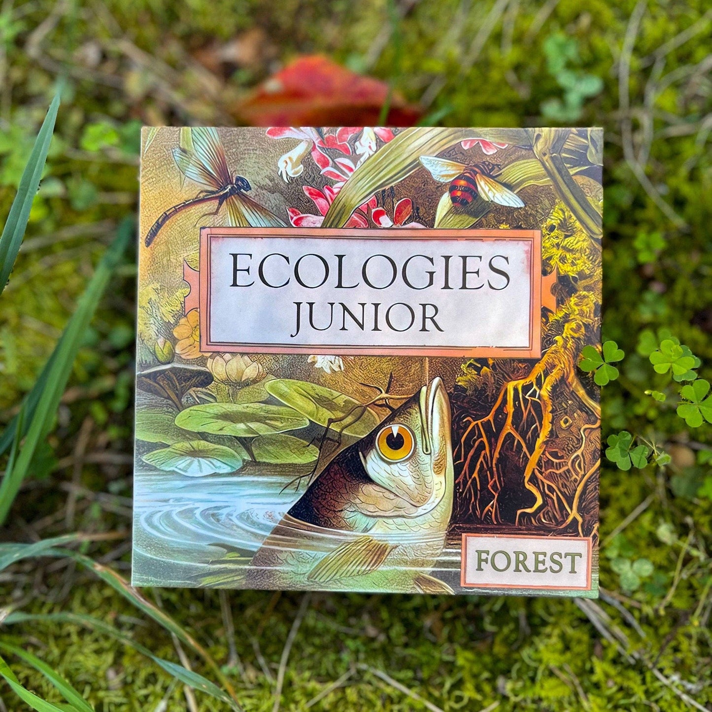 Ecologies Junior: Forest