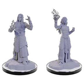 D&D: NMU: Elf Wizards male+female W22 [WZK90672]