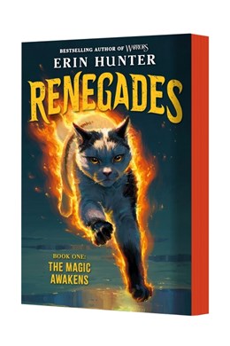 Renegades #1: The Magic Awakens (Renegades, 1) [Hunter, Erin]