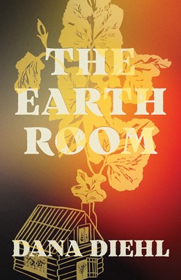 The Earth Room [Diehl, Dana]