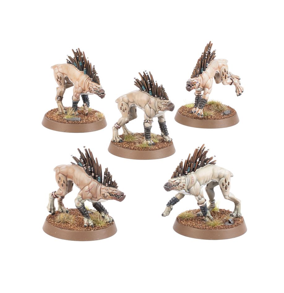 Kroot Hounds; Tau Empire - Warhammer 40,000 2024