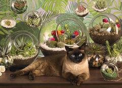 Terrarium Cat | 1000pc puzzle