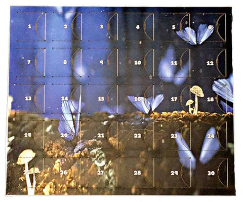 Dice Calendar: Butterflies and Mushrooms [BMDC016]