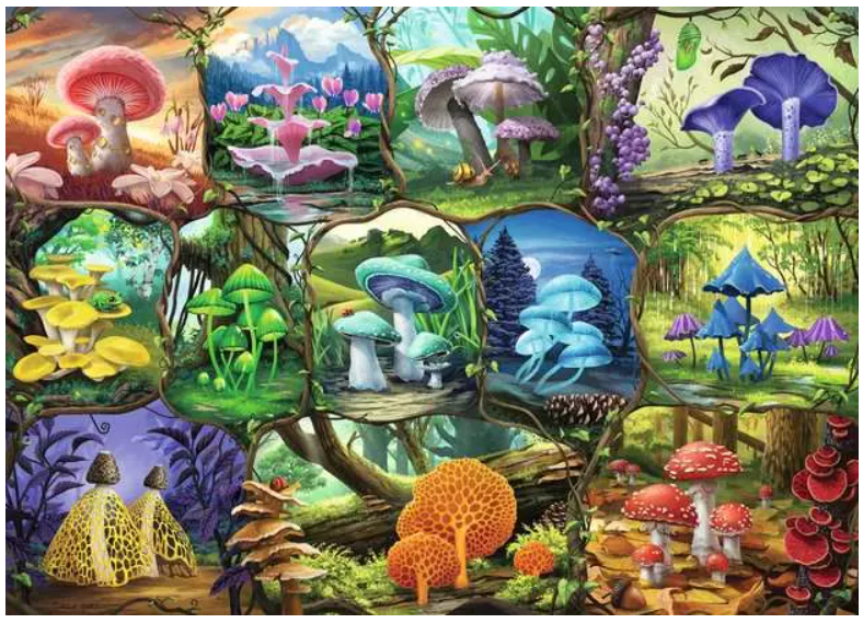 Beautiful Mushrooms | 1000 pc Puzzle