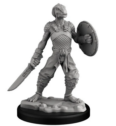 DRAGONBORN FIGHTER AND MONK