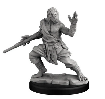 DRAGONBORN FIGHTER AND MONK