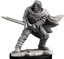 HUMAN ROGUE AND WARRIOR