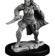 HUMAN ROGUE AND WARRIOR