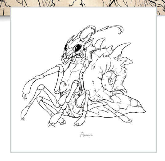 A Field Guide To Floral Dragons | Coloring Book