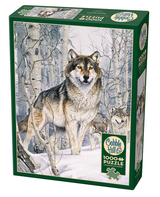 Second Glance | 1000pc Puzzle