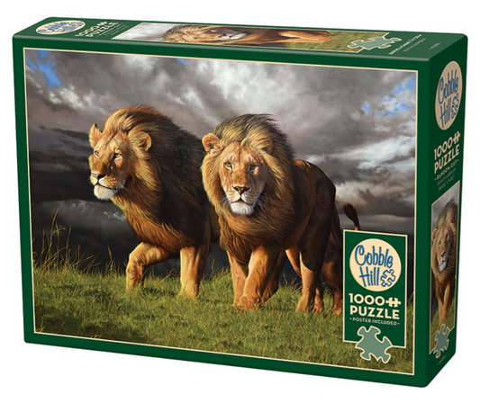 Approaching Storm | 1000pc Puzzle