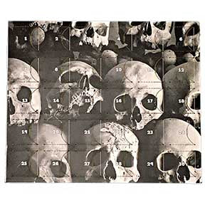 Dice Calendar: Gray Skulls [BMDC017]