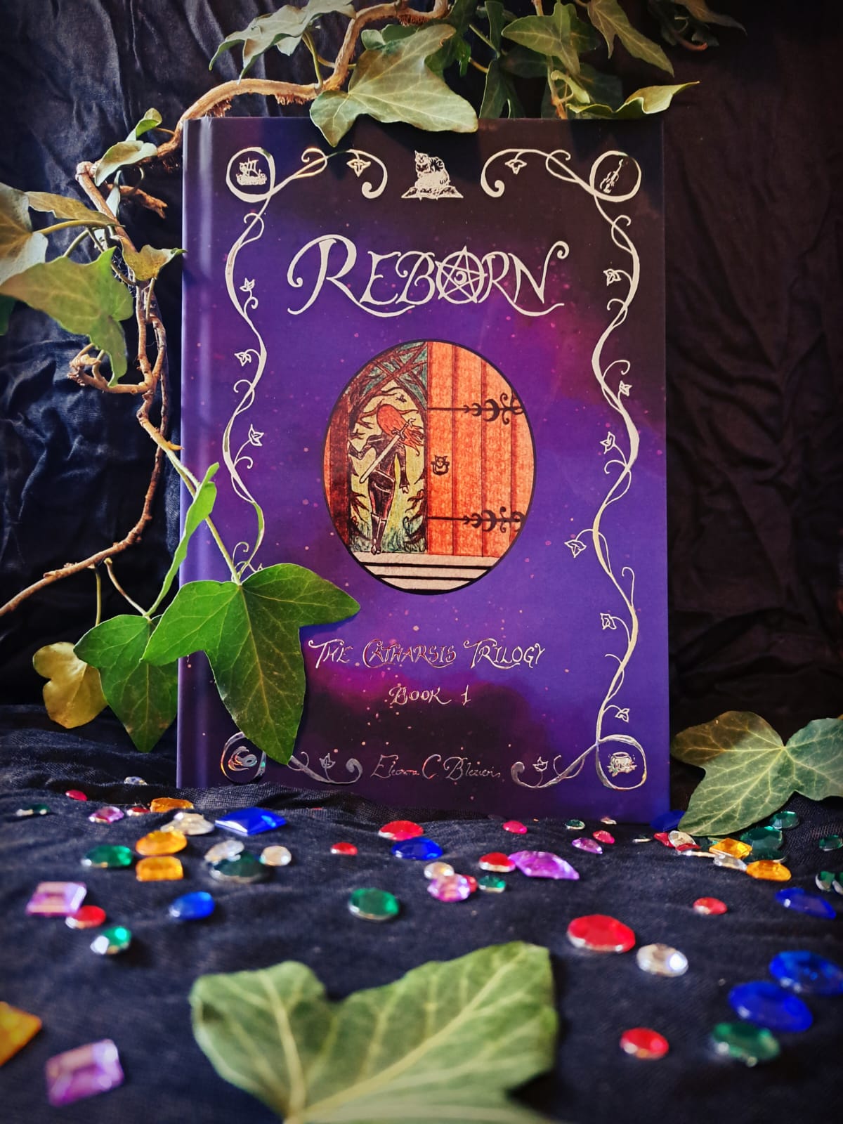 Reborn (Catharsis Trilogy 1) [Bleizien, Eleonora C.]