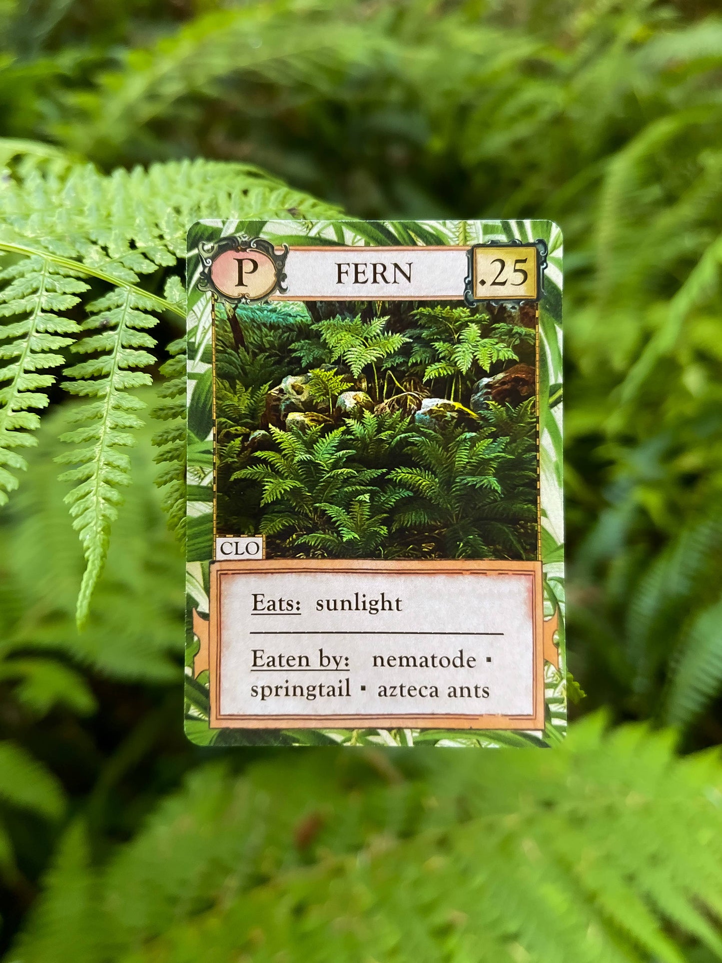 Ecologies: Hidden Habitats Card Game