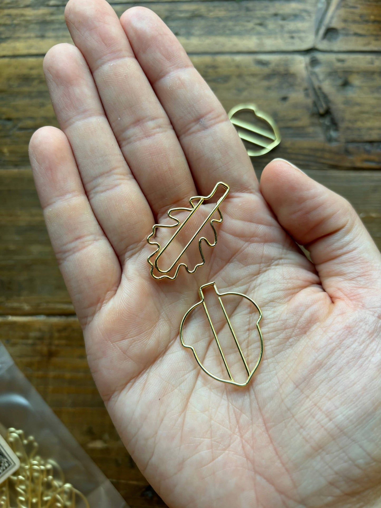 CM Paper Clip Set | Oak Leaf & Acorn