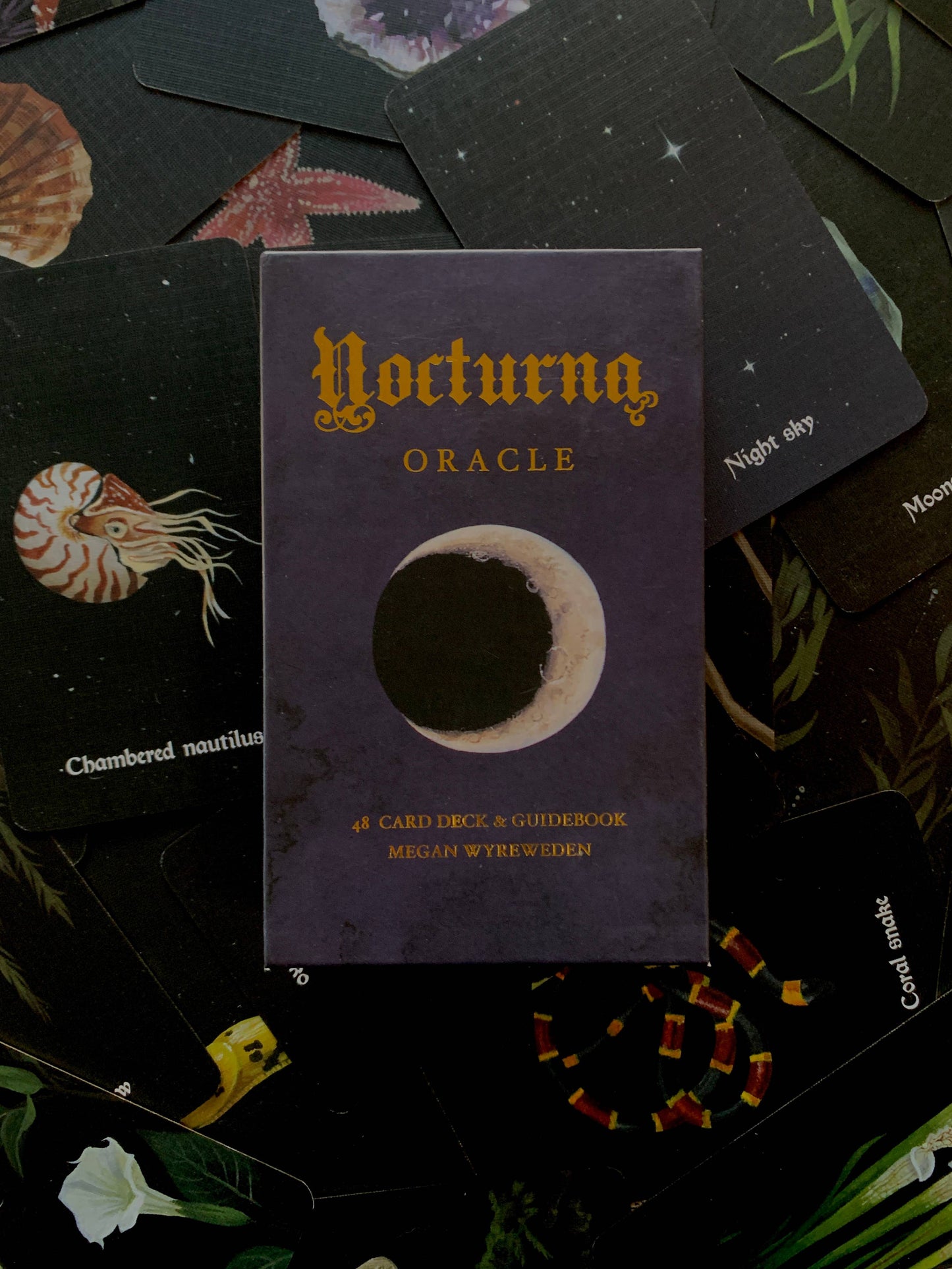 CM Tarot Deck | Nocturna Oracle