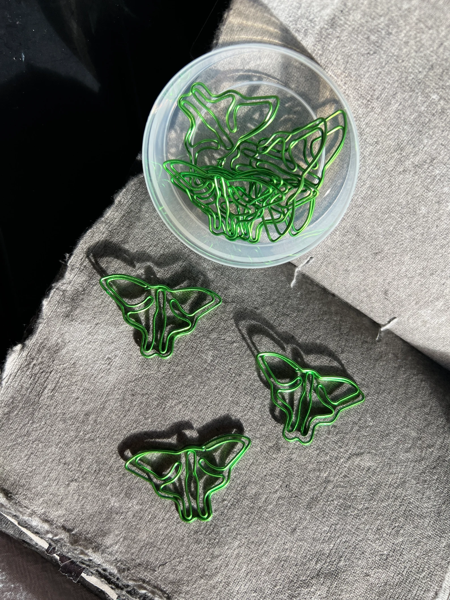 AM Paperclips | Luna Moth