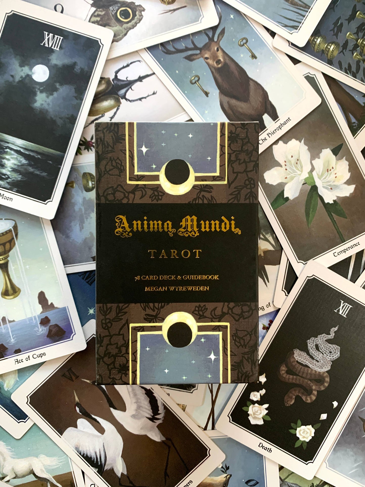 CM Tarot Deck | Anima Mundi
