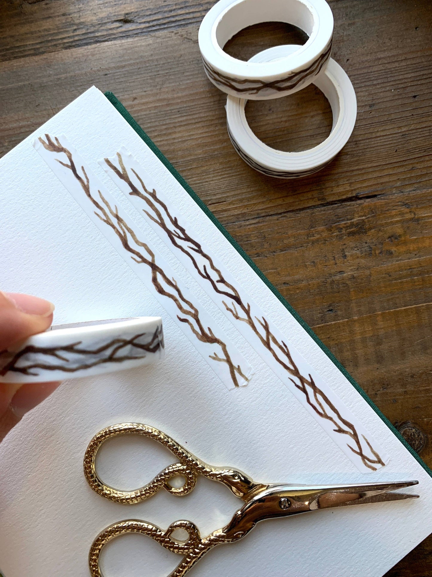 CM Washi Tape | Branches