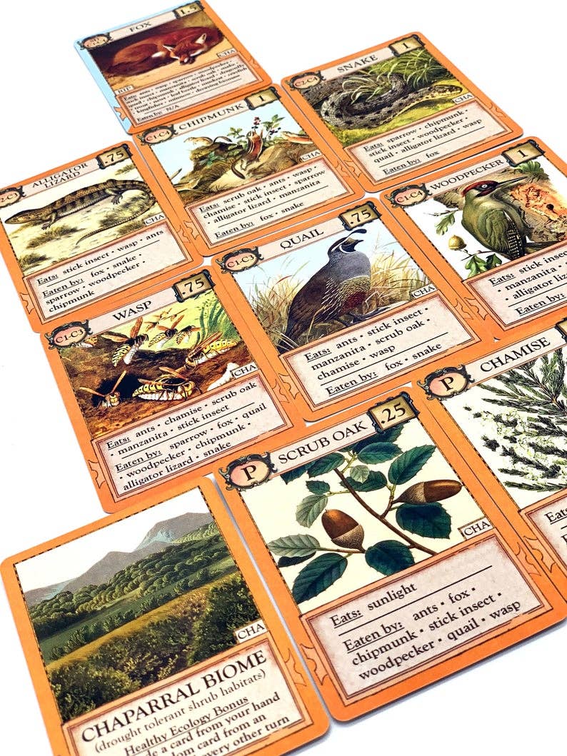Ecologies: Bizarre Biomes Card Game