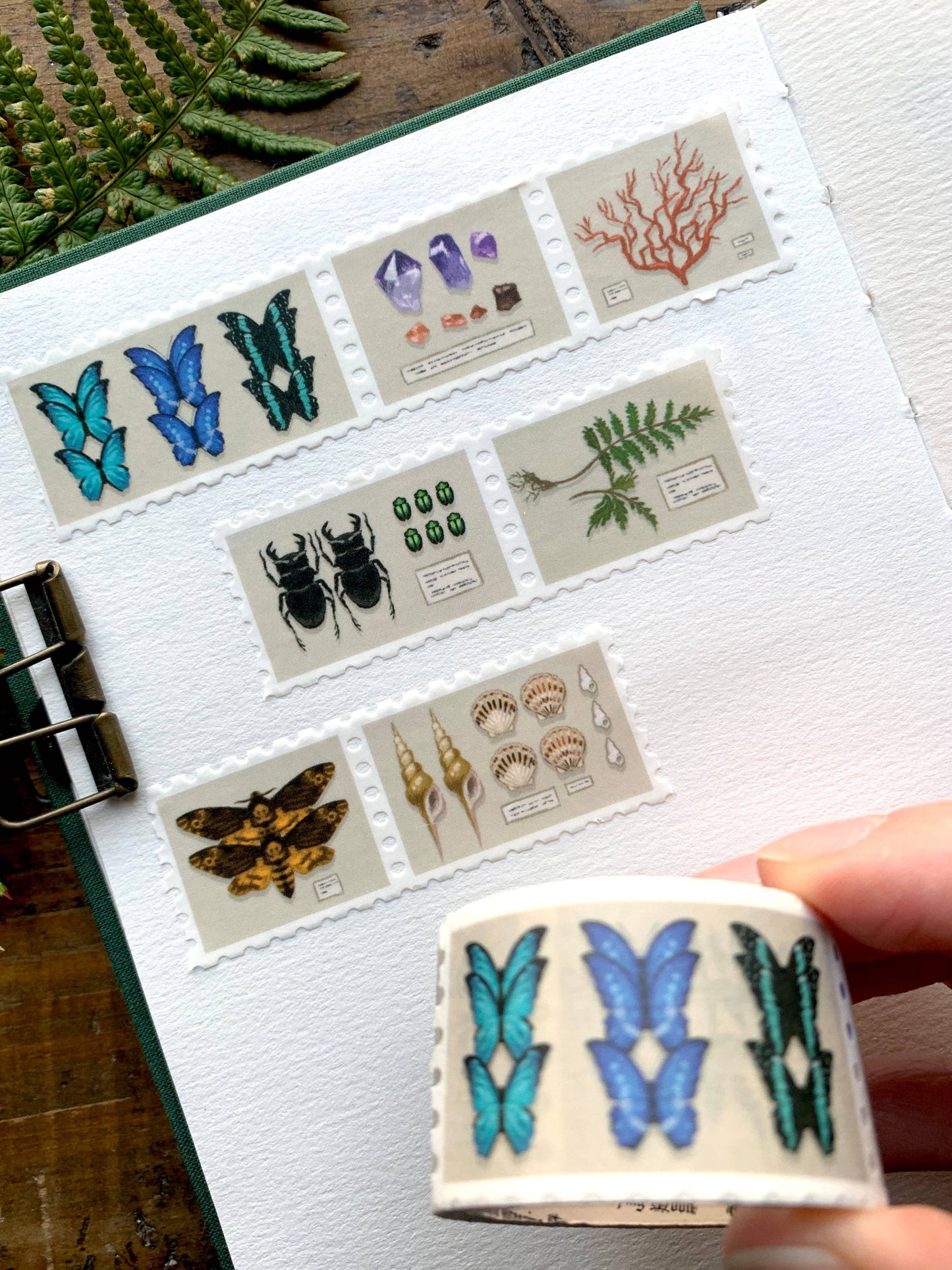 CM Washi Tape | Specimen Drawer Stamps